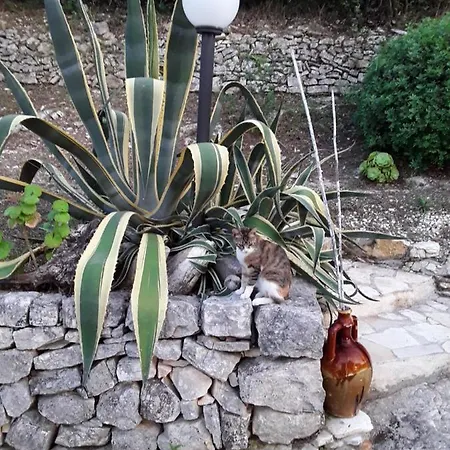 Casa Natura